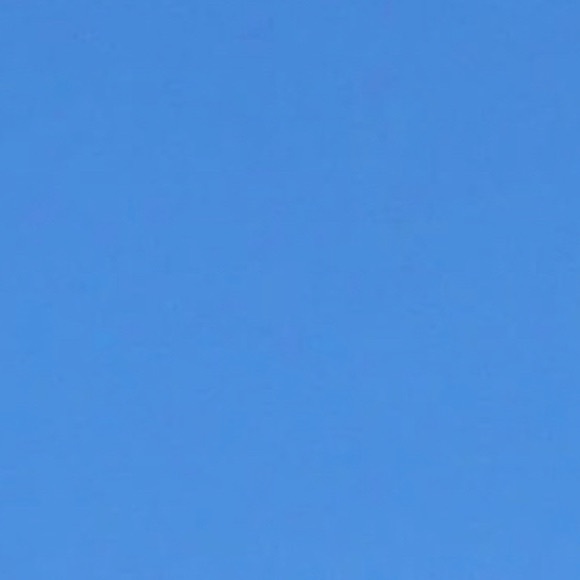 Meet your Posher, Jasmine - Picture 1 of 1